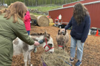 Ridge Ranch - Agritourism